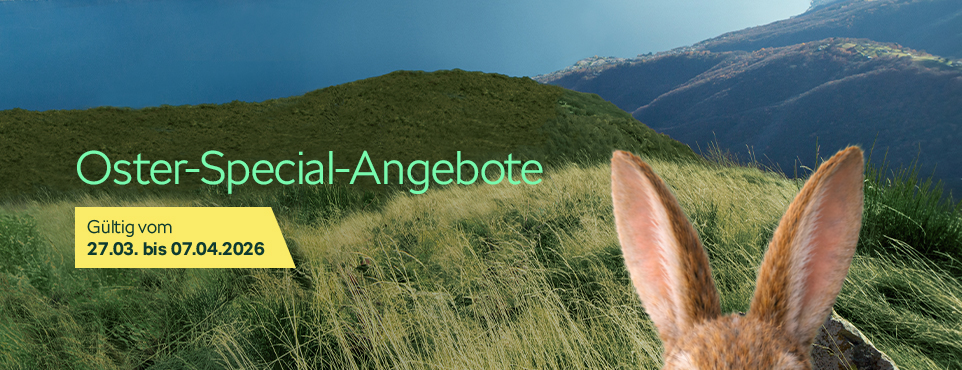 Service-Aktion Frühjahr